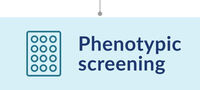 Phenotypic screening